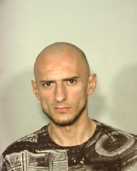 miroslav-obradovic miroslav-obradovic